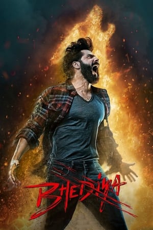 Bhediya 2022 Movie Pre-DVDRip | Dubbed Hindi Movie – 480p